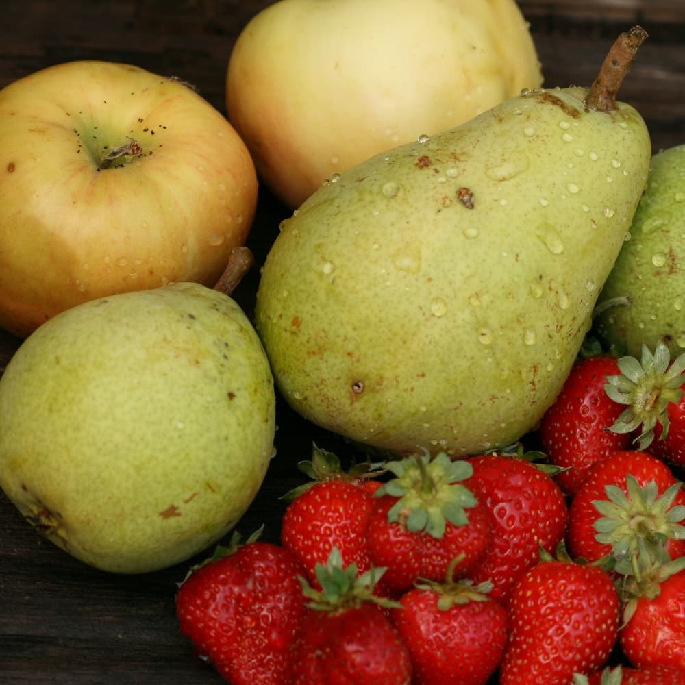 Carbs for Exercise Fast vs Slow Burning Energy Roam NZ Australia