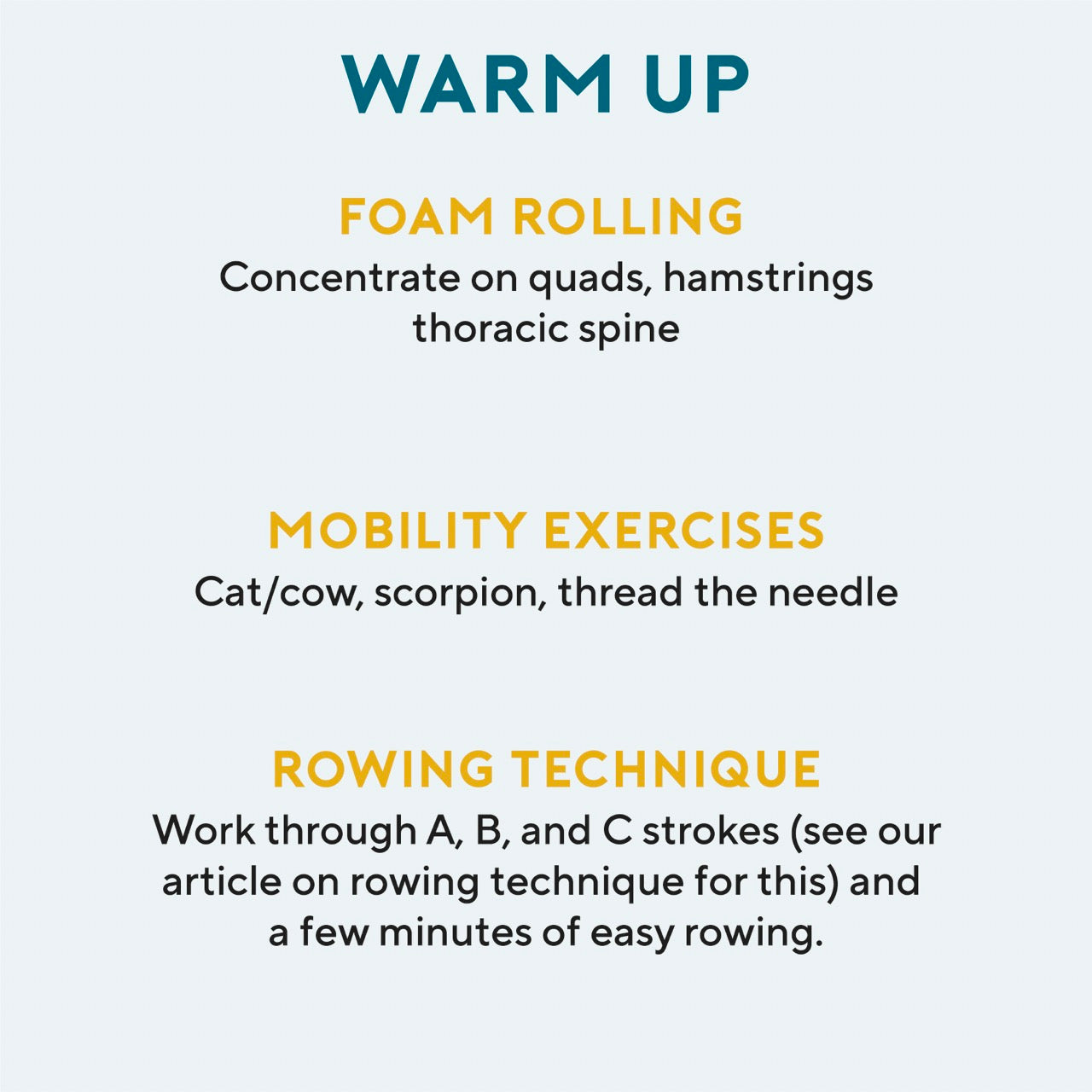 Rowing Erg Pyramid Workout Roam NZ and Australia